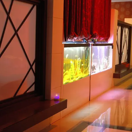 Hotel Meder
